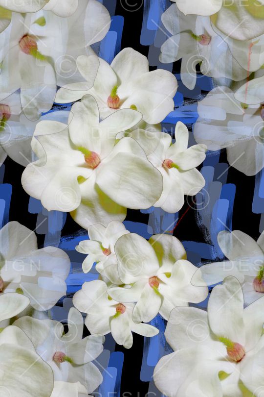 玉兰花印花华亿平台图片