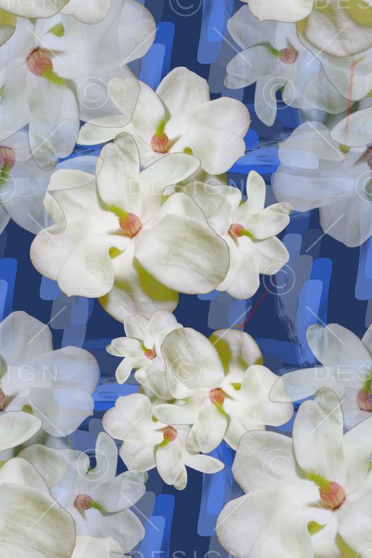 玉兰花印花华亿平台图片