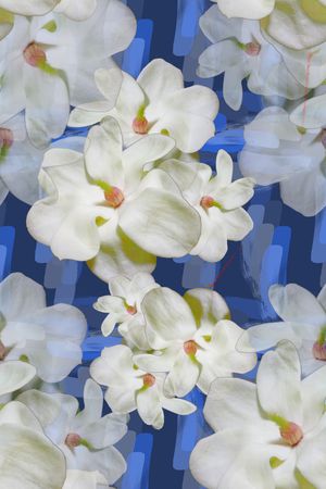 玉兰花印花华亿平台图片