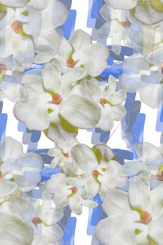 玉兰花印花华亿平台图片