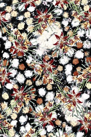 数码华亿平台印花华亿平台图片