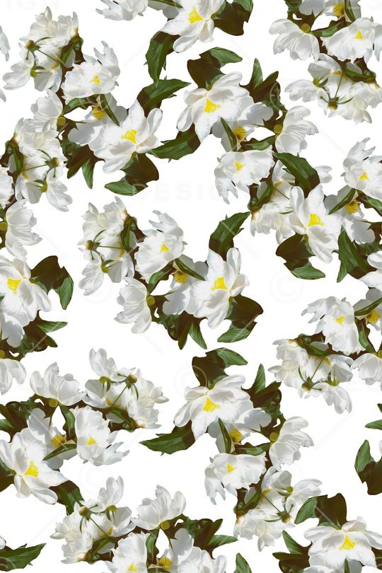 大花印花华亿平台图片