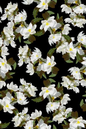 大花印花华亿平台图片