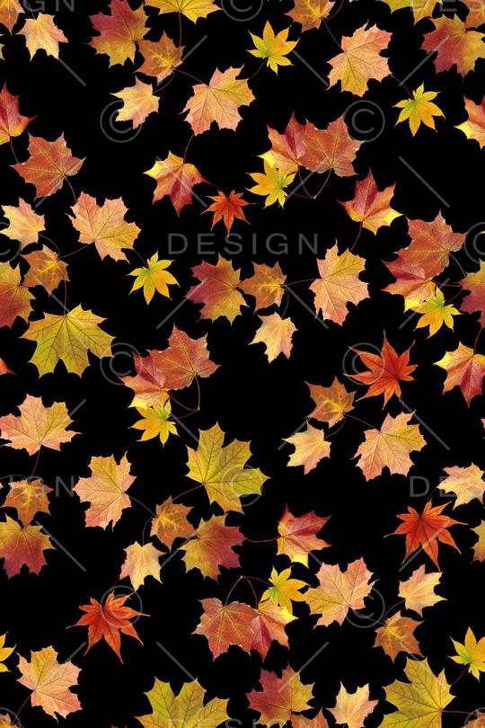 枫叶印花华亿平台图片