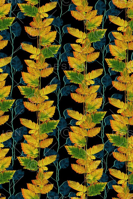 绿植树叶印花华亿平台图片