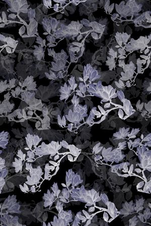 玉兰花印花华亿平台图片