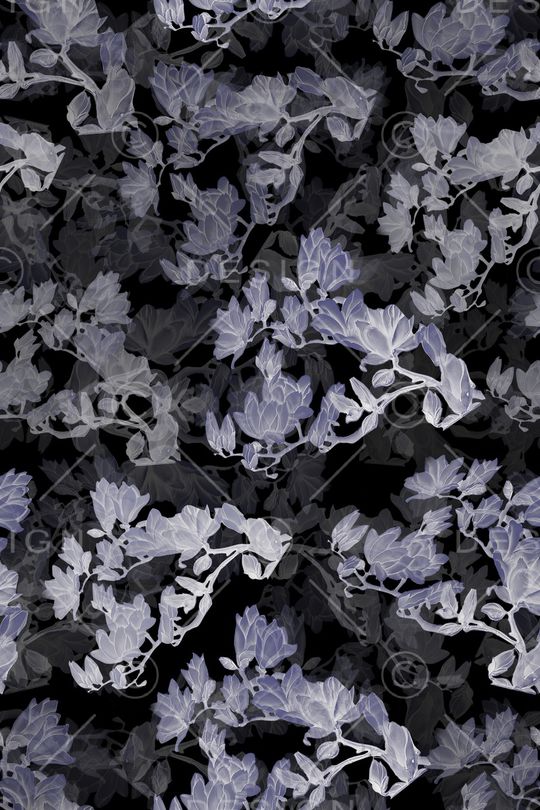 玉兰花印花华亿平台图片