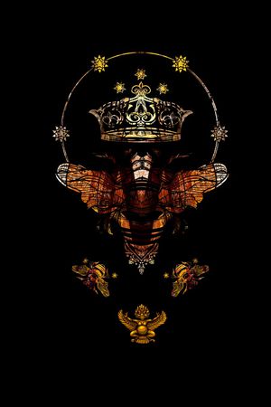 男装印花华亿平台图片