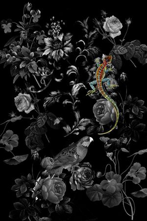 鸟印花华亿平台图片