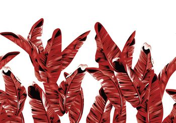 1031758-180321芭蕉叶回路