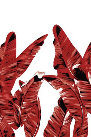 大牌风印花华亿平台图片