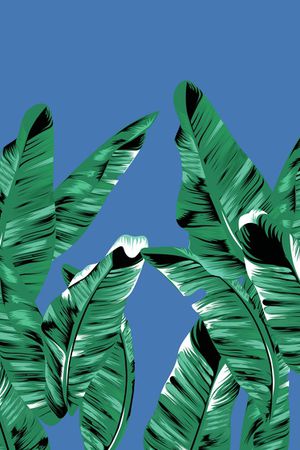 大牌风印花华亿平台图片