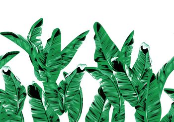 1031761-180321芭蕉叶回路绿色