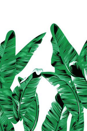 大牌风印花华亿平台图片