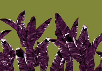 1031762-180321芭蕉叶回路紫色