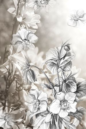 水彩花卉印花华亿平台图片