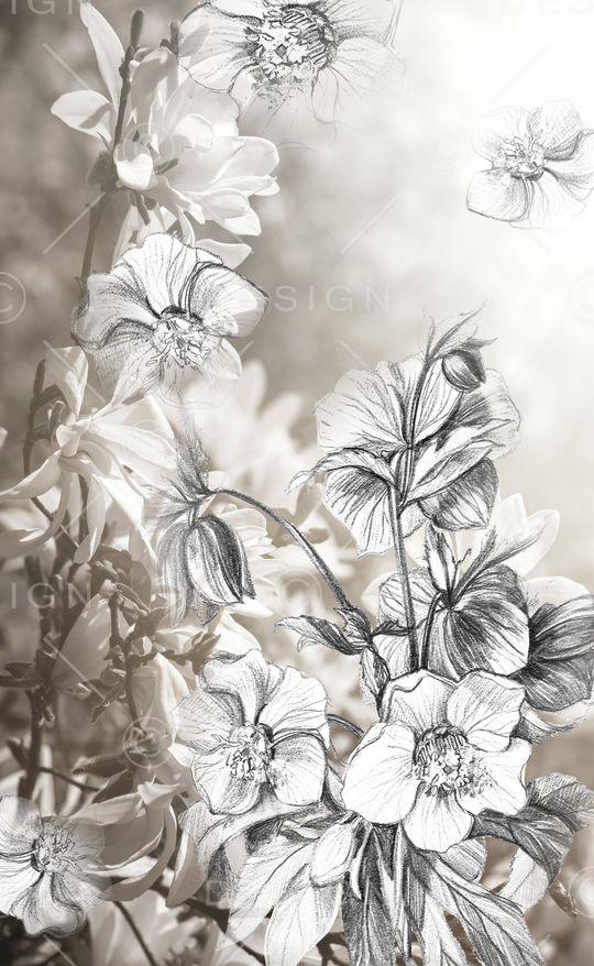 水彩花卉印花华亿平台图片