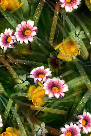 年轻女性印花华亿平台图片