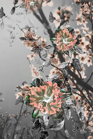 水彩花卉印花华亿平台图片