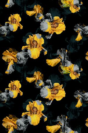 男装印花华亿平台图片