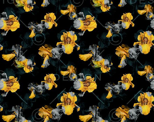 男装印花华亿平台图片