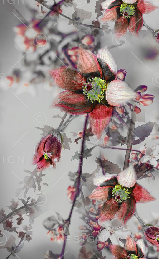 水彩花卉印花华亿平台图片