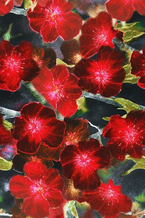 数码华亿平台印花华亿平台图片