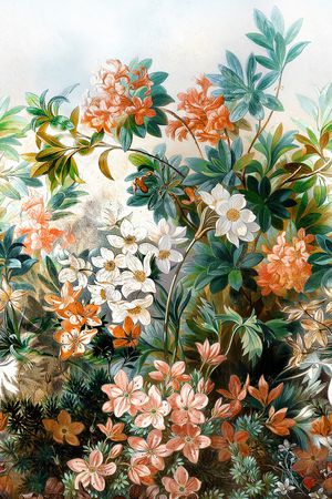 大牌风印花华亿平台图片