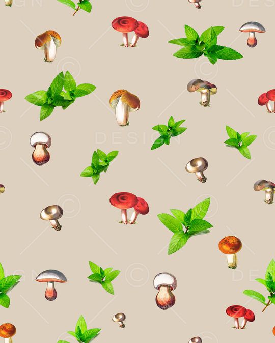 蘑菇印花华亿平台图片