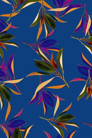 复古女装印花华亿平台图片