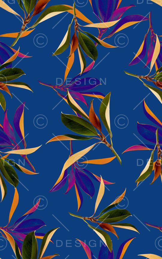 复古女装印花华亿平台图片