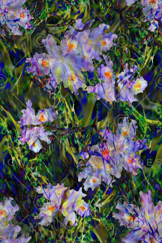 大花印花华亿平台图片