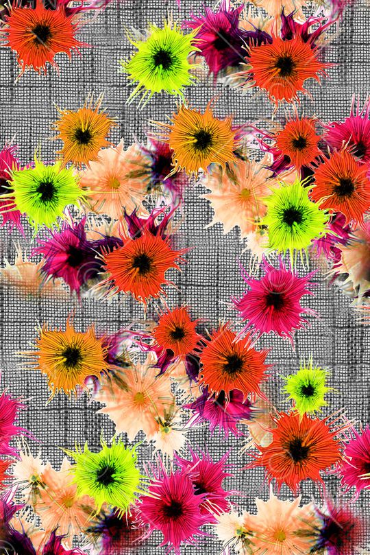 数码华亿平台印花华亿平台图片