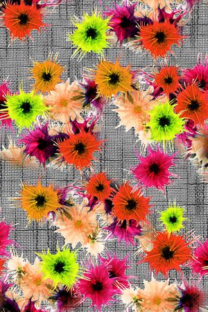 数码华亿平台印花华亿平台图片