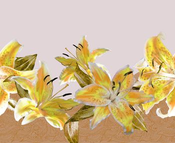 1035279-180323黄百合回路裁剪黄色