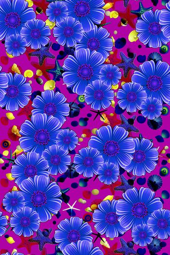 1035614-花卉各种贝壳紫[1]