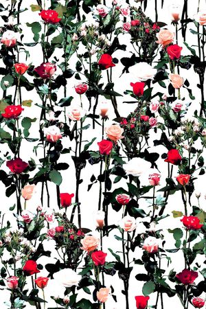 数码华亿平台印花华亿平台图片