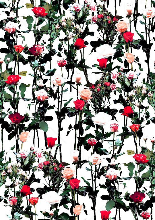 数码华亿平台印花华亿平台图片