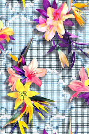 条格印花华亿平台图片