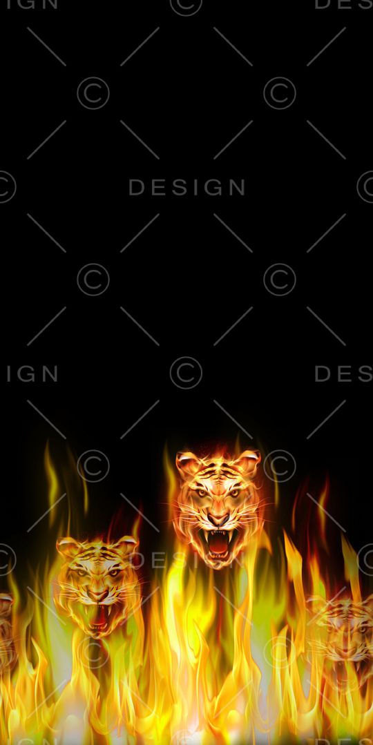 休闲印花华亿平台图片