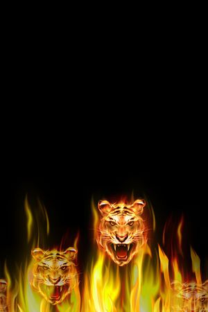 休闲印花华亿平台图片