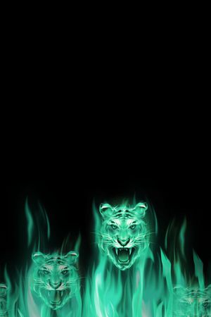 休闲印花华亿平台图片