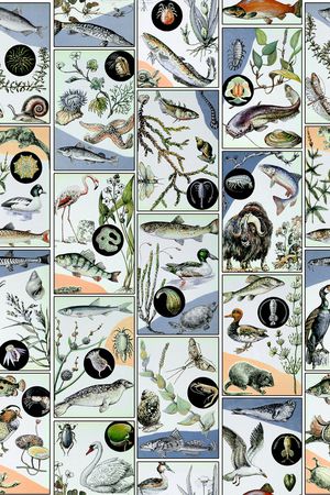 趣味印花华亿平台图片