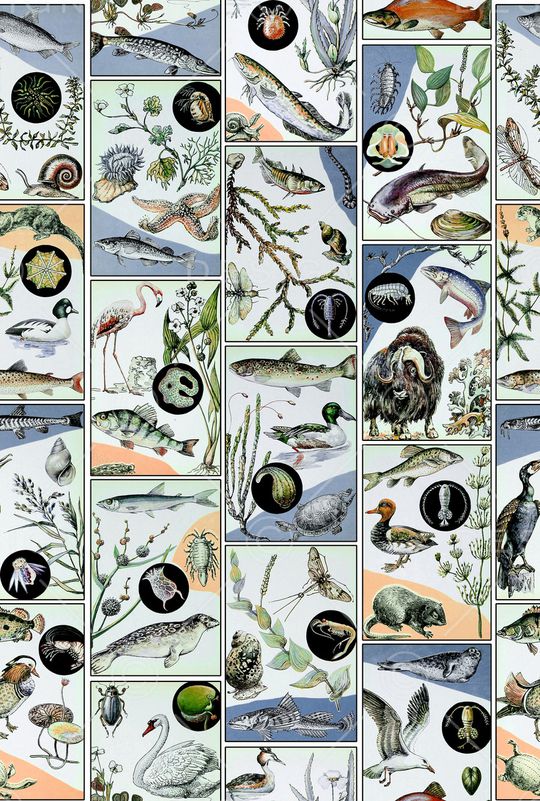 趣味印花华亿平台图片