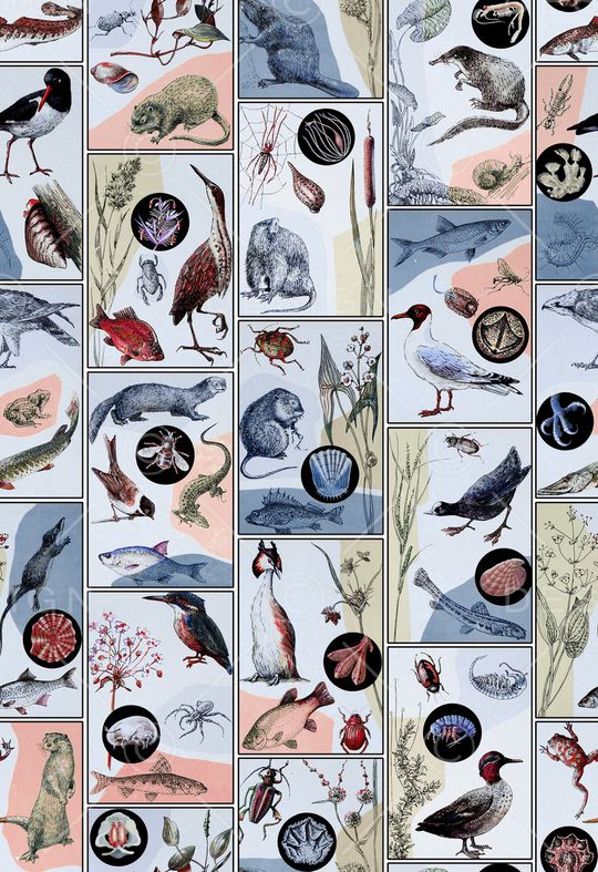 趣味印花华亿平台图片