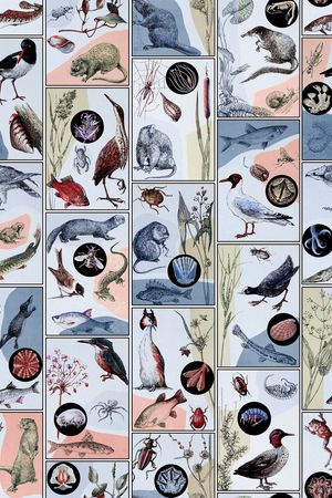 趣味印花华亿平台图片