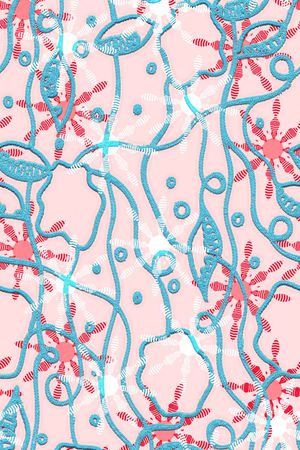 数码华亿平台印花华亿平台图片