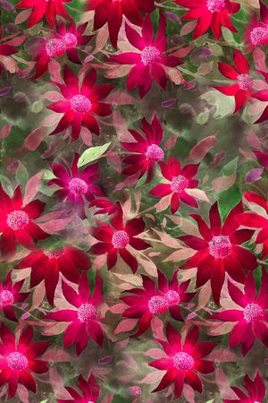 抽象花卉印花华亿平台图片