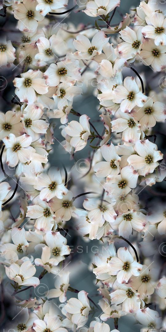 小碎花印花华亿平台图片