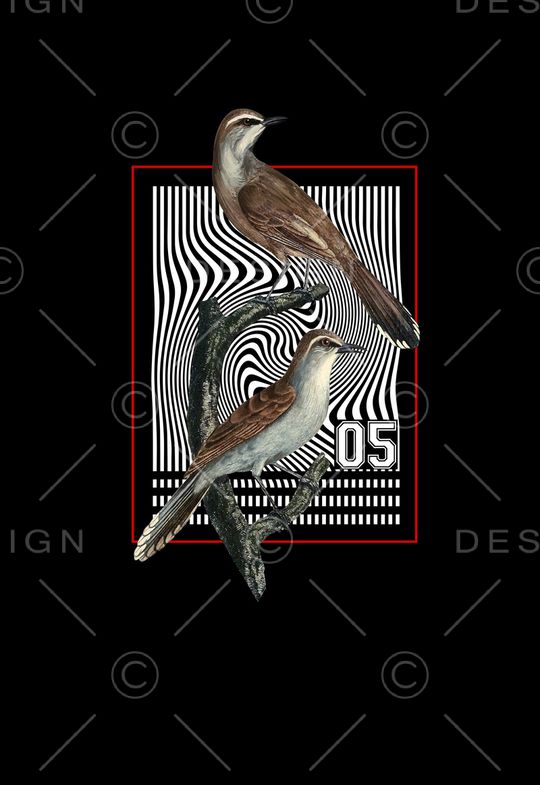 手绘复古鸟印花华亿平台图片